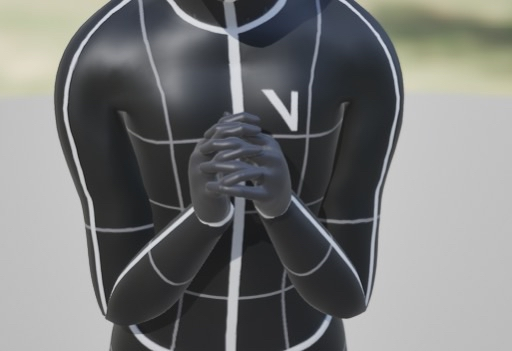 Motion capture interface